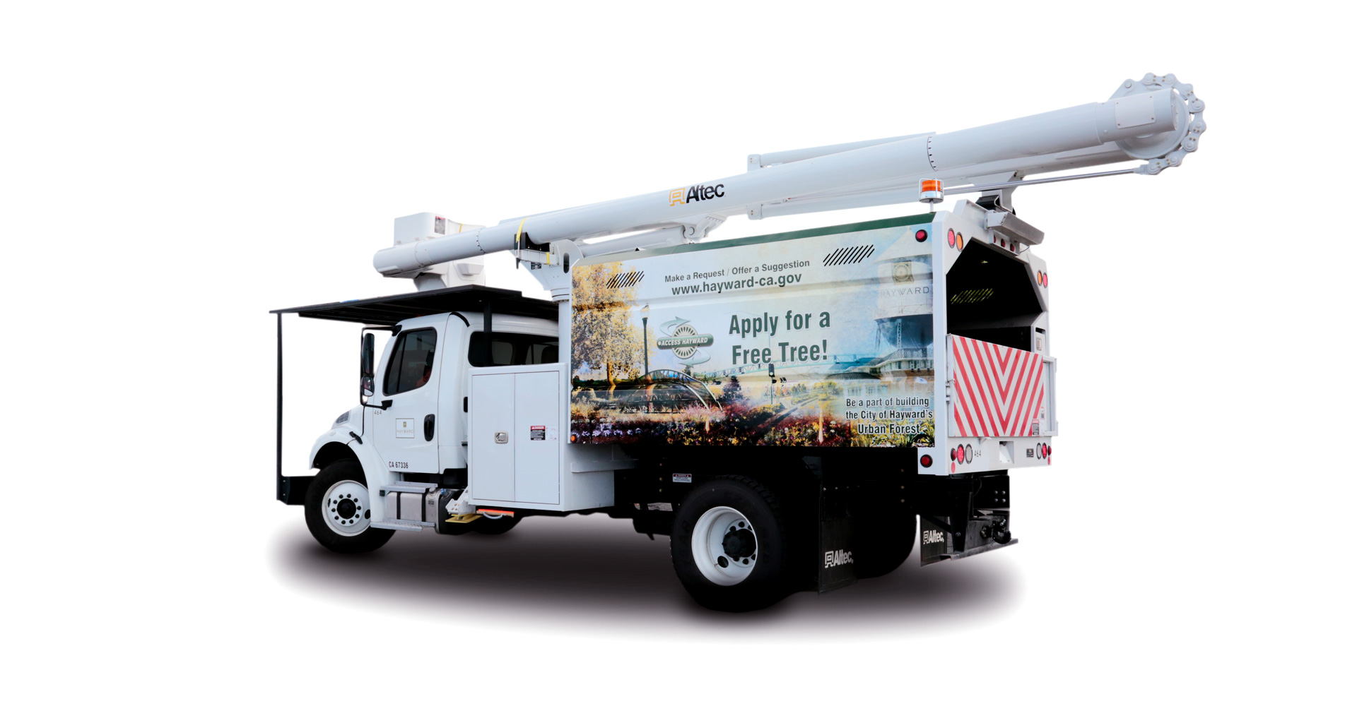 city of hayward street tree truck